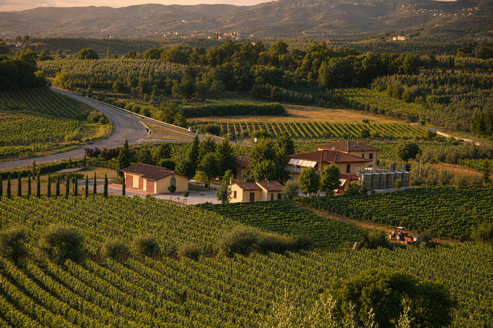 Panoramica Azienda Agricola Santa Barbara Vinci Toscana Chianti Montalbano